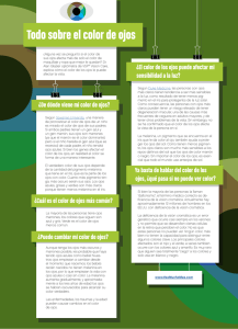 Todo sobre el color de ojos