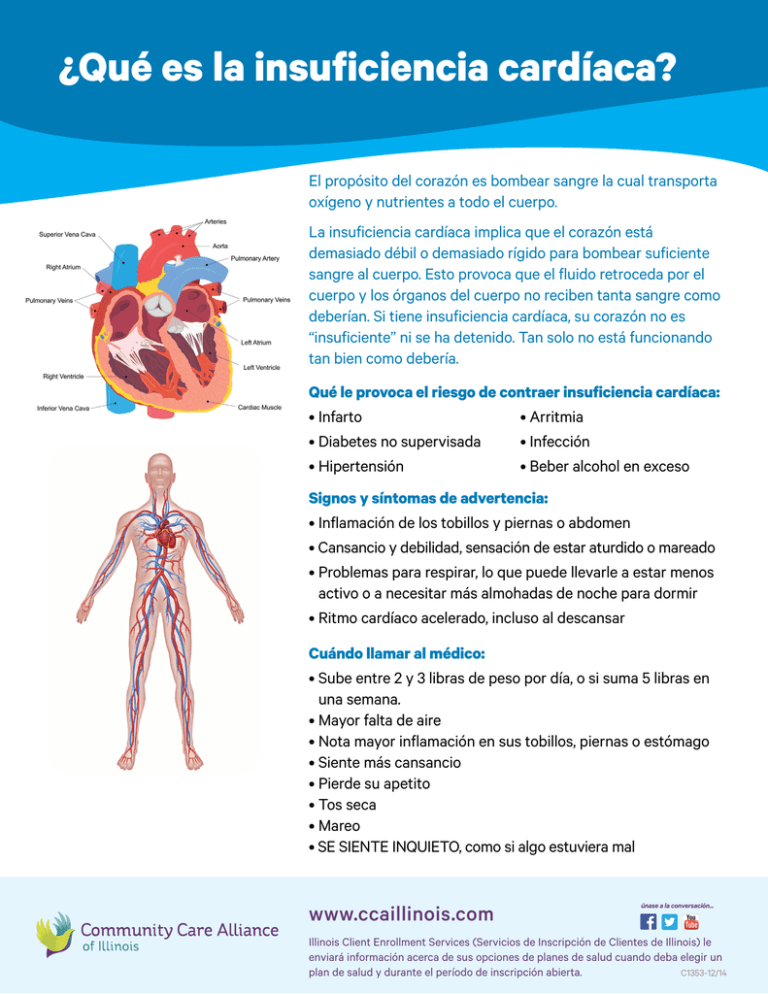¿Qué Es La Insuficiencia Cardíaca?
