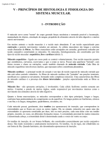 v - princpios de anatomia, histologia e fisiologia do sistema muscular