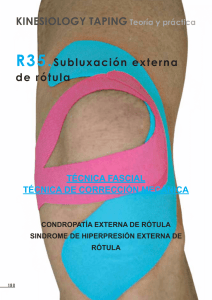 Descargar páginas 198 y 199 del libro Kinesiology