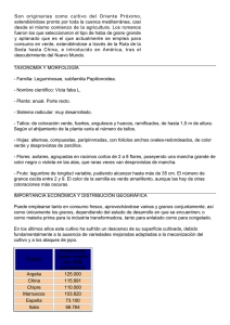 TAXONOMÍA Y MORFOLOGÍA - Familia: Leguminosae, subfamilia