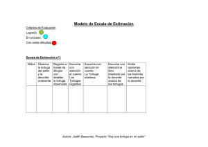 Modelo de Escala de Estimación