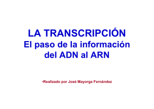 La transcripción blanco