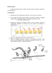DEFINICIONES Codón, transcripción, ligasa, Cebador o primer