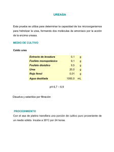 UREASA