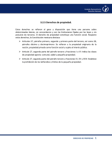 3.2.5 Derechos de propiedad.