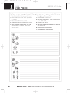 mitosis y meiosis - Blog del Colegio El Catón