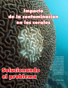 Solucionando el problema