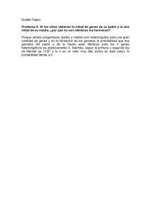 Genética: ¿Por qué los hermanos no son idénticos?