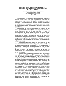 Más información