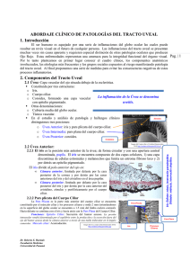 11 Clínica de Patología Uveal