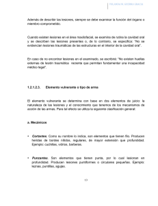 Además de describir las lesiones, siempre se debe examinar la