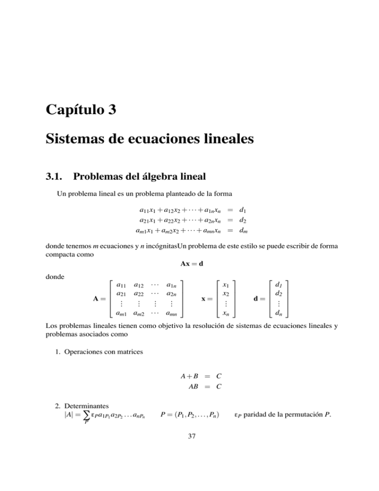 Capítulo 3 Sistemas De Ecuaciones Lineales