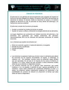 cancer de pancreas - Clinica del Dolor