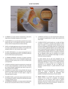 Descarga