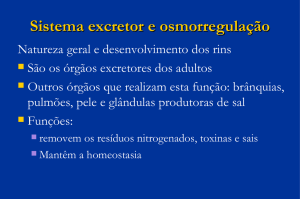 Sistema excretor e osmorregulação