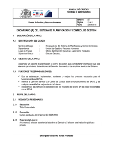 encargado (a) del sistema de planificación y control de gestión