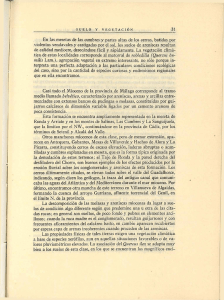 En las mesetas de las cumbres y partes altas de los cerros, batidas