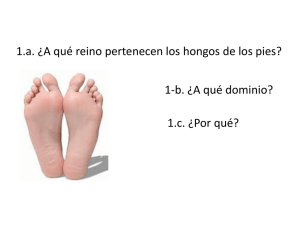 1.a. ¿A qué reino pertenecen los hongos de los pies? 1