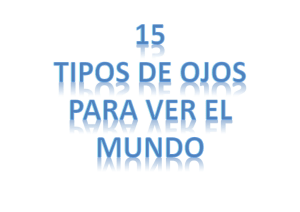 15 TIPOS DE OJOS PARA VER EL MUNDO