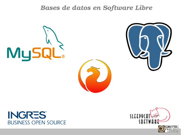 Bases De Datos En Software Libre