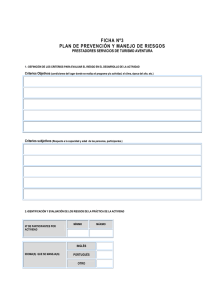ficha nº3 plan de prevención y manejo de riesgos