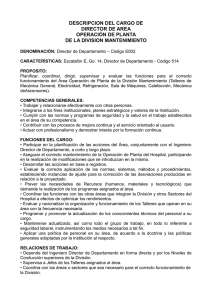 descripcion del cargo de director de area operación de planta de la