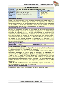 FICHA DE CAVIDAD