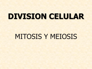 DIVISION CELULAR