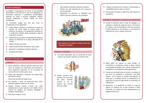 Recomendaciones básicas de seguridad y salud en la recogida de