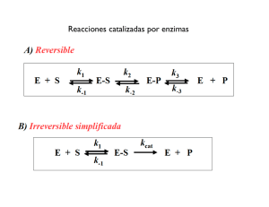 Reacciones catalizadas por enzimas