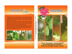 Cultivo, poscosecha y comercialización de las