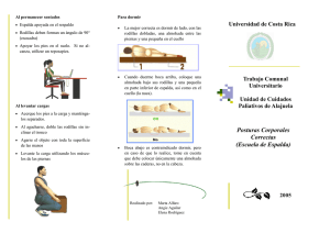 Posturas Corporales Correctas