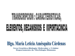 TRANSCRIPCION DEL ADN