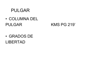 pulgar - Dra. Cristina Oleari