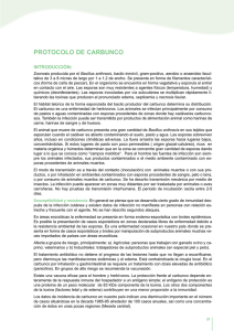 PROTOCOLO DE CARBUNCO