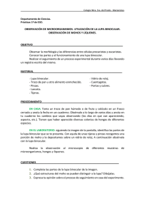 observación de microorganismos. utilización de la lupa binocular