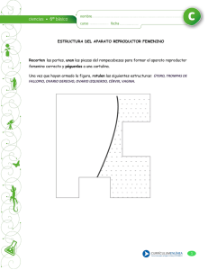 1 ESTRUCTURA DEL APARATO REPRODUCTOR FEMENINO