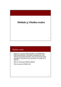 Módulo 3: Fluidos reales