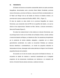 III.- FISIOGRAFIA El Estado de Sonora se encuentra comprendido