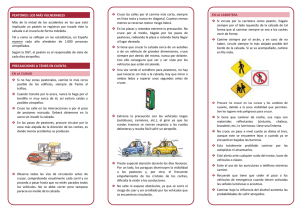 PEATONES: LOS MÁS VULNERABLES PRECAUCIONES A TENER