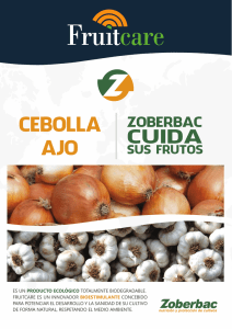 Fruitcare Cebolla y Ajo