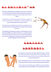 El cuerpo realiza diferentes actividades como caminar, correr
