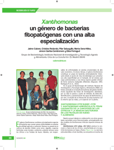 Xanthomonas un género de bacterias fitopatogenas con una alta