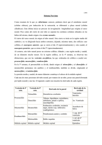 Sistema Nervioso Como resumen de lo que ya deberíamos conocer