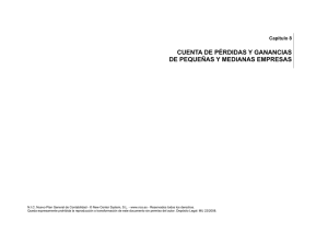 Cuenta de Pérdidas y Ganancias de Pymes