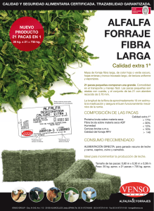 107 Alfalfa Forraje Fibra Larga 21