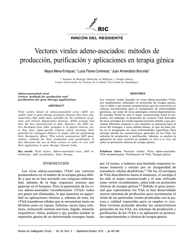 vectores-virales-adeno-asociados-m-todos-de