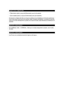 objeto de cobertura objeto de cobertura importe asegurado importe
