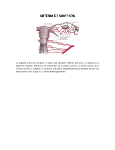 Arteria de Sampson: Anatomía y Función